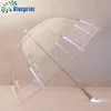 Apollo Fancy Design Flashing light Transparent Stick led umbrella