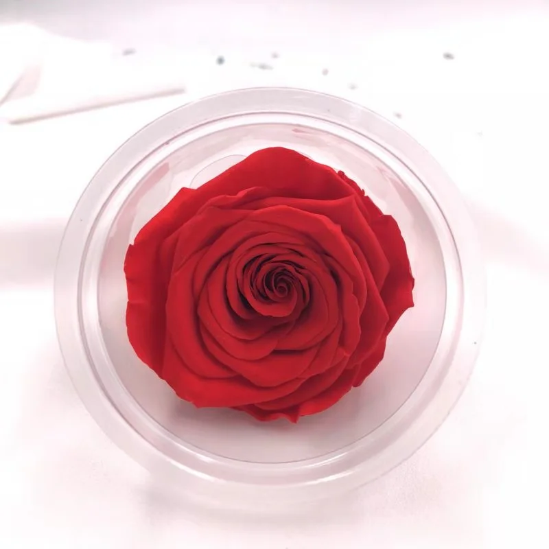 5-6 cm fresh cut flower from real natural preserved rose head