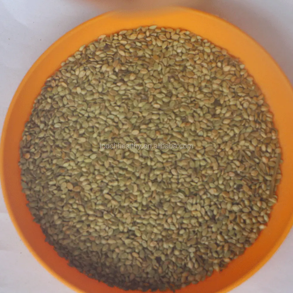 
Touchhealthy supply paspalum notatum flugge seeds grass seeds for planting 