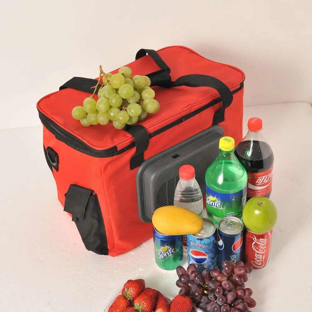 12v Plug 24l Portable Travel Electrical Picnic Cooler Bag For Car Buy