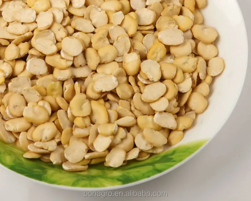 
Chinese dried split faba bean 