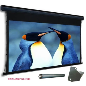 VEGA 70 inch Motorised Projector Screen
