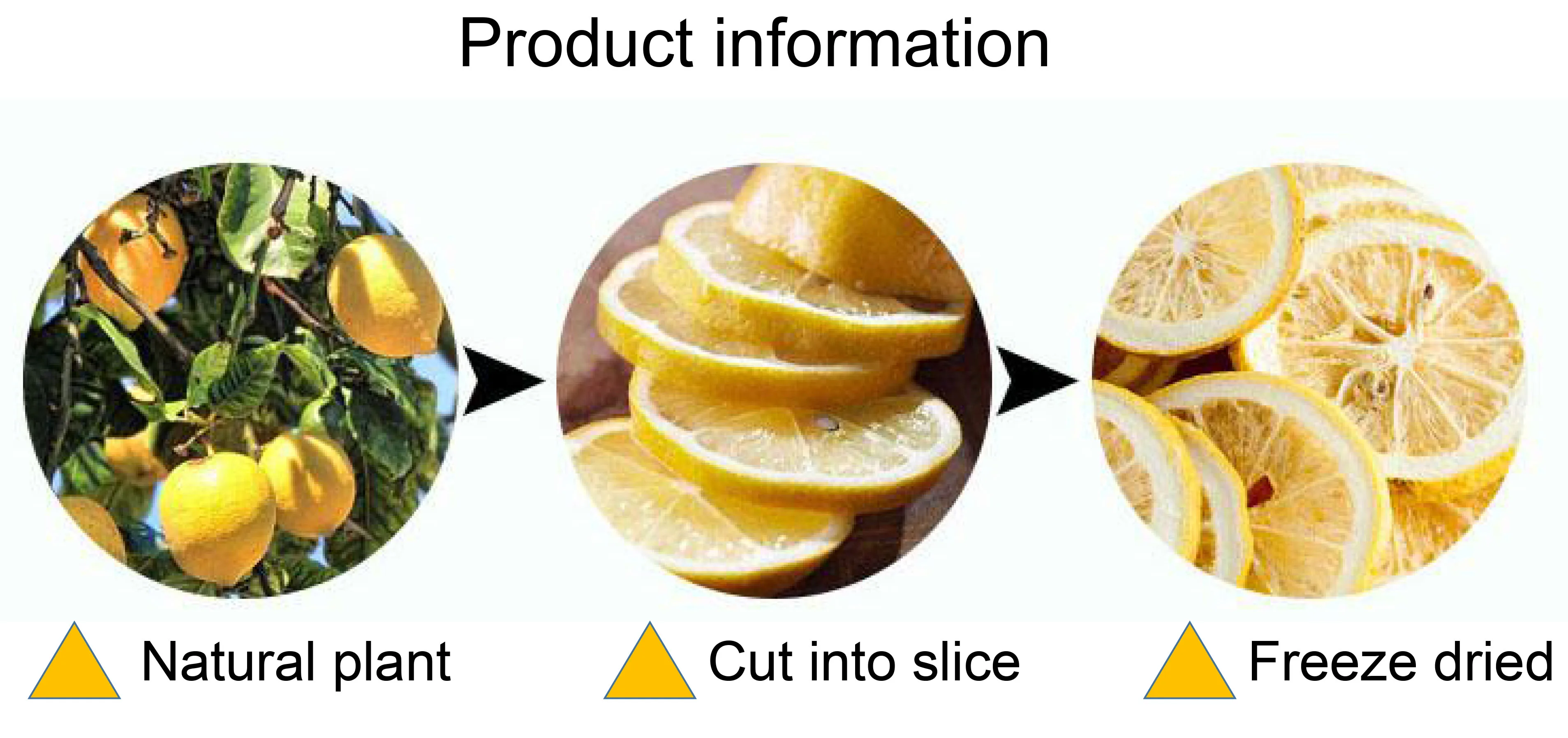 All kind of fat less dry fruits freeze dried lemon for babies