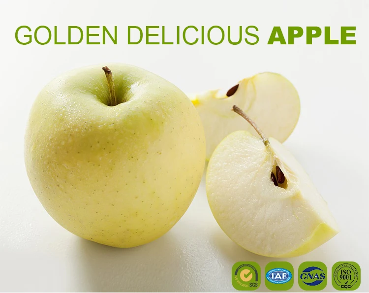Hot Sale China Fresh Fruit Golden Delicious Apples Buy Fresh Fruit Golden Delicious Apples