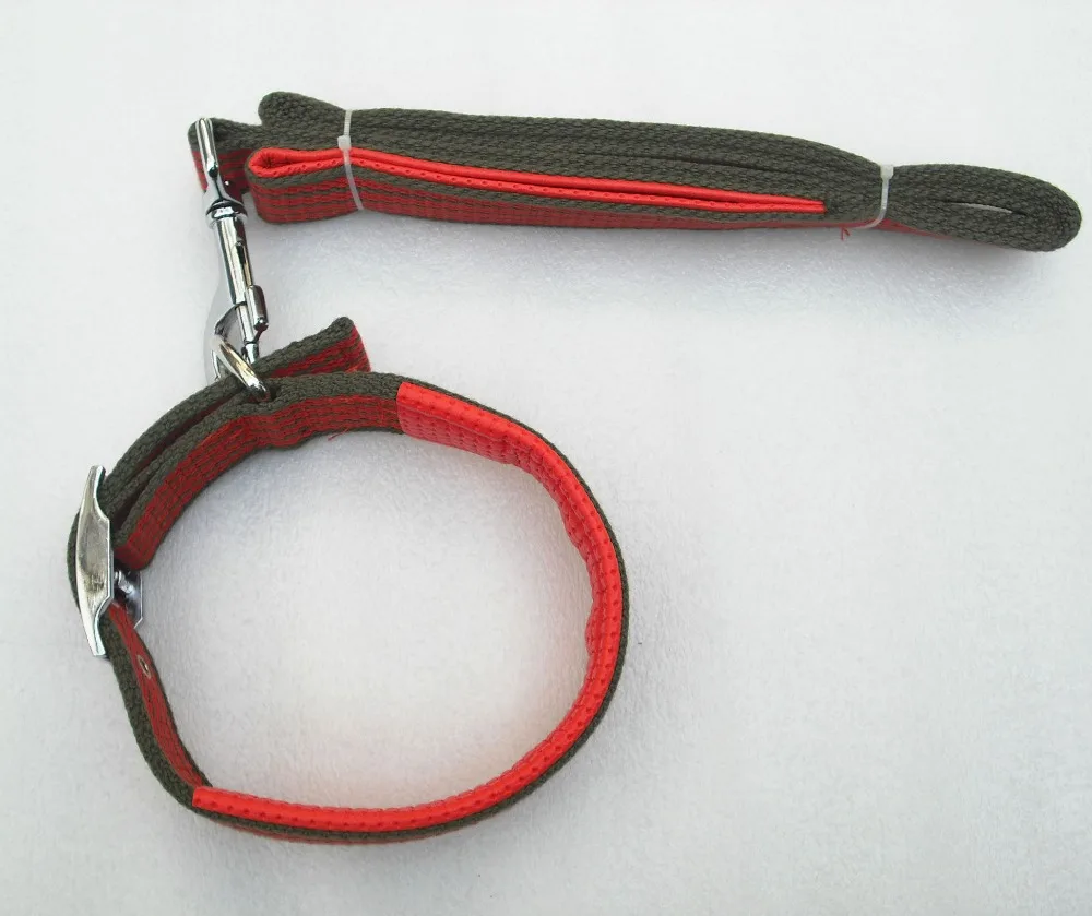 

applique width 1.0cm neck pet collar, Red