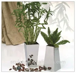 mirror polished stainless steel sculpture