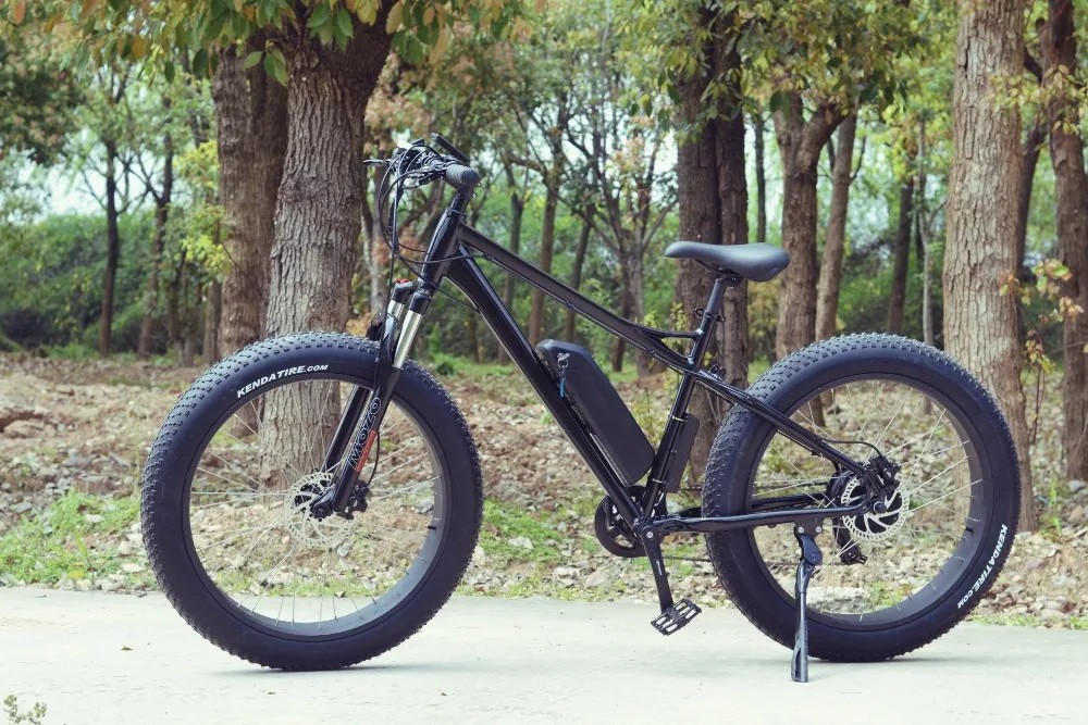 Electric fat bike with Tektro hydraulic brake, big power ebike