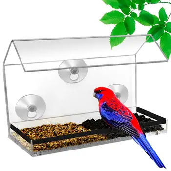 Custom Acrylic Transparent Window Bird Feeder With Suction Up
