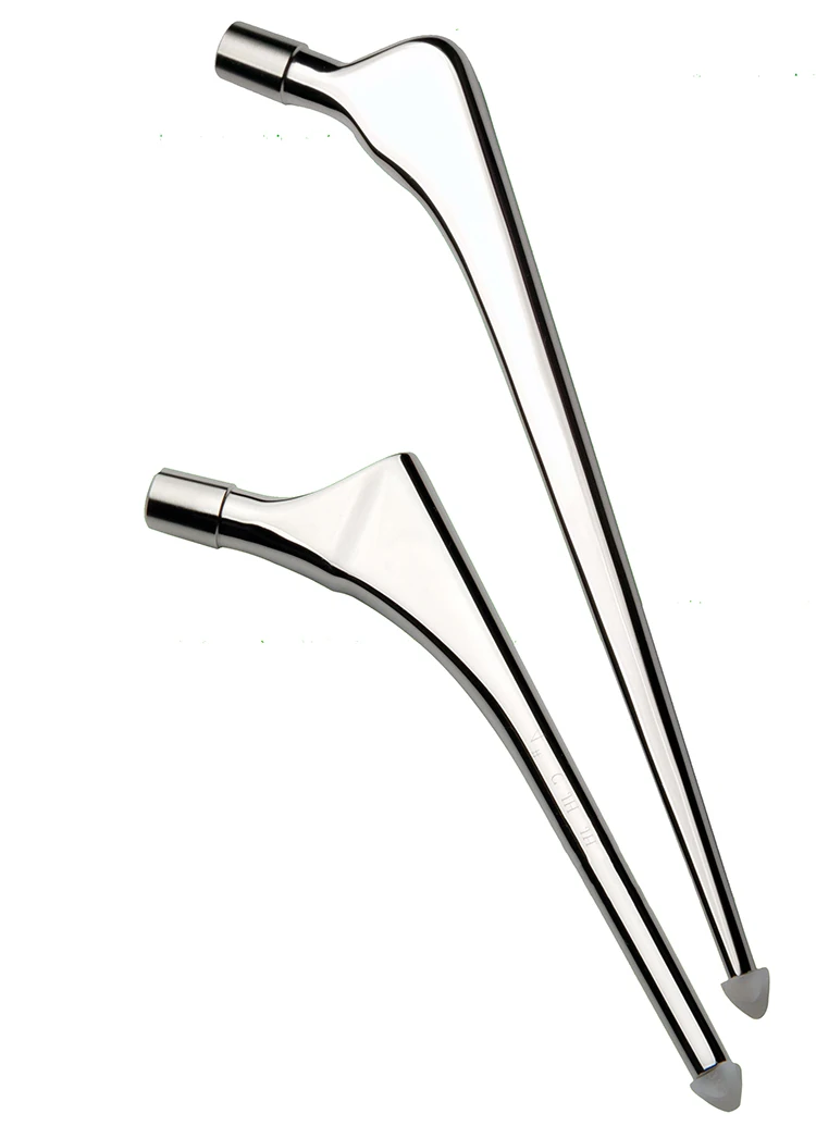 hip joint prosthesis