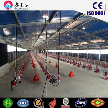 Steel Frame Prefabricated Poultry Farming And Building For 