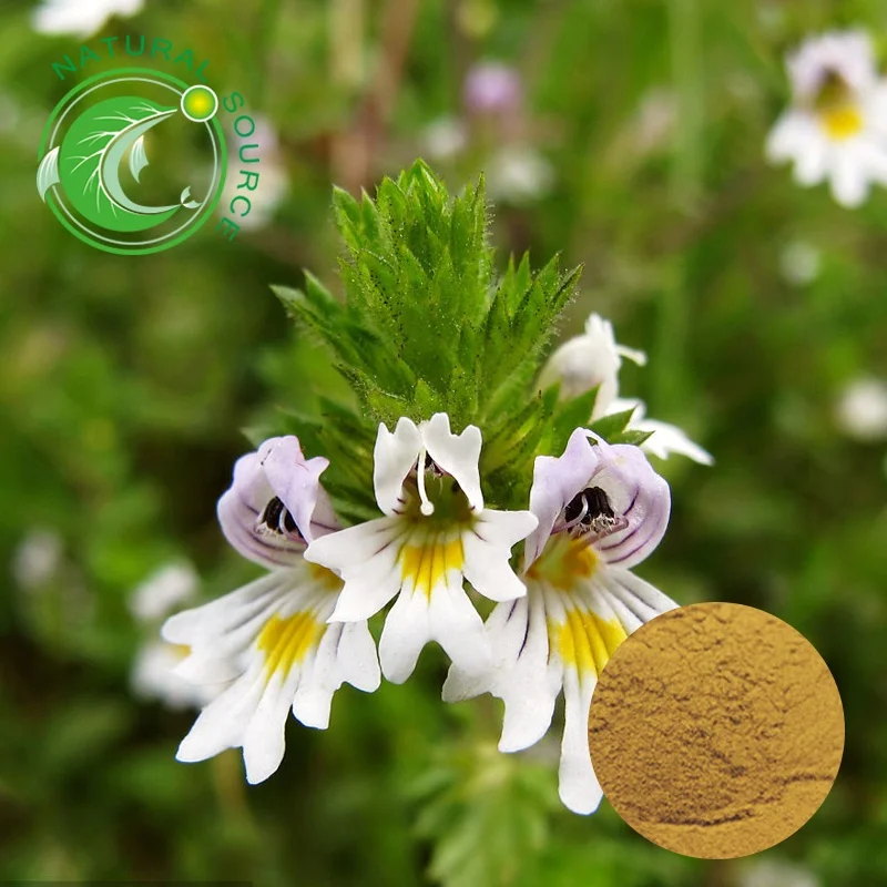 Eyebright Extract (3).jpg