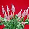 pe plastic extruded flower net with different colors