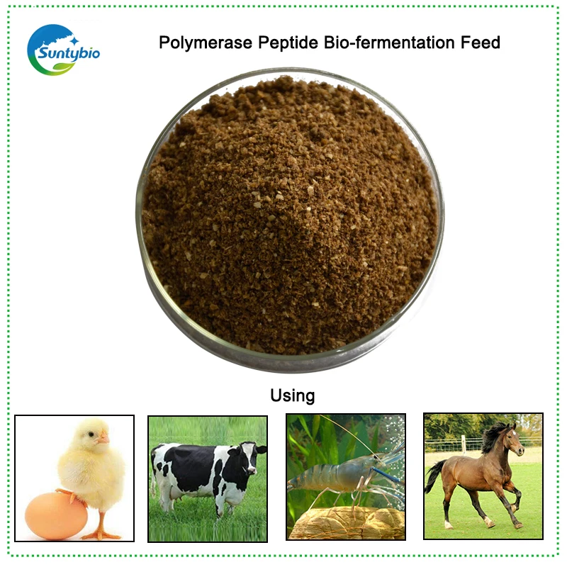 Polymerase Peptide Bio-fermentation Feed-3