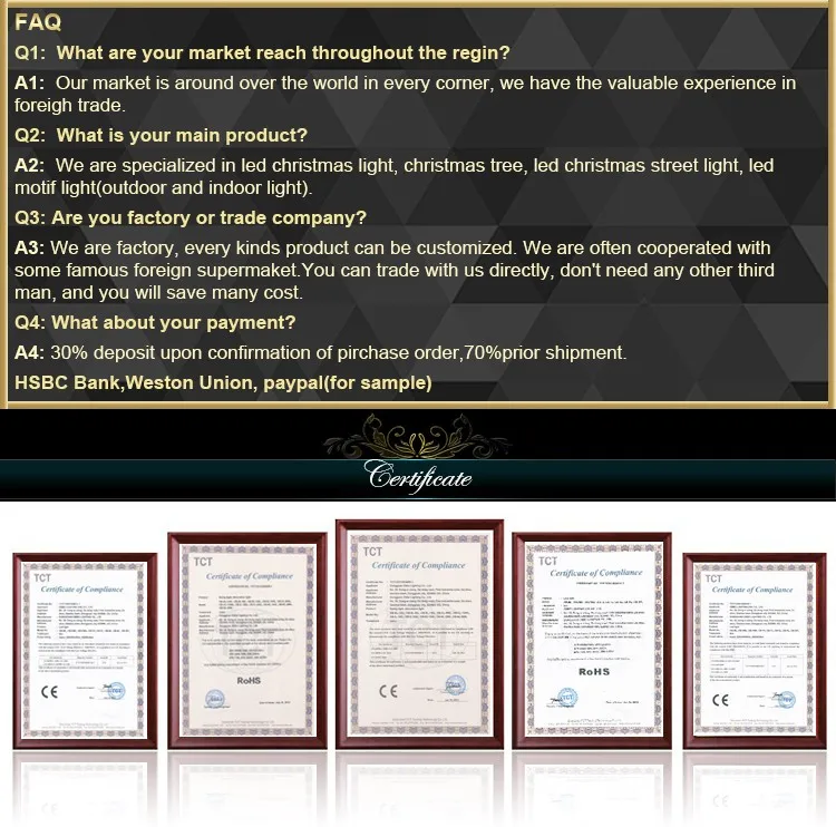 Commercial Christmas LED street Light Display