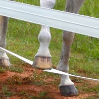 

Vinyl/Plastic/PVC Wholesale High Tensile Flexible Rail Electric Horse Fence