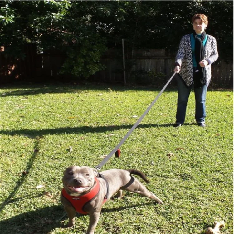 Two Handle Dog Leash With Extra Traffic Handle Heavy Duty Double Padded