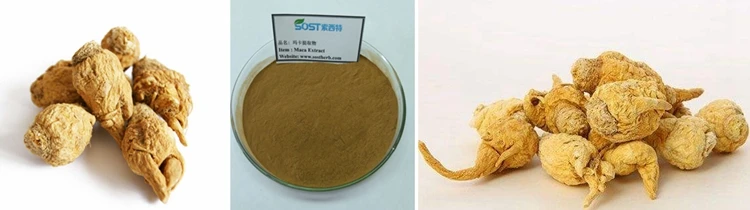 Chinese Supplier Organic Maca Root Powder from Peru.jpg