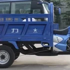 China Hydraulic Heavy Duty Cargo Tricycle