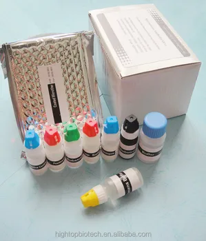 Elisa Kits Hiv Hbsag Hcv Syphilis Blood Screening Tests Elisa - Buy Hiv ...