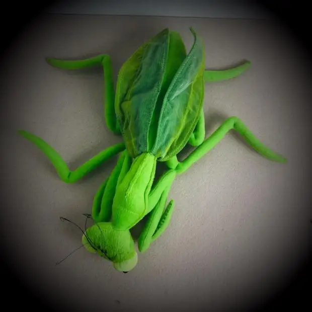 plush mantis