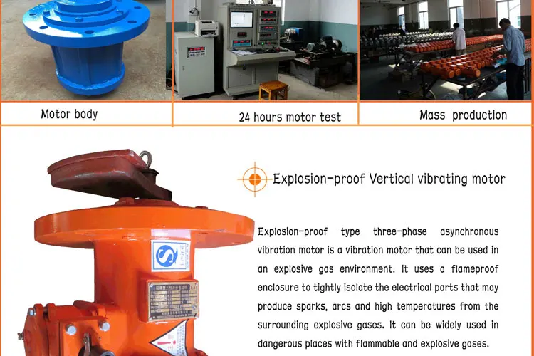 Vibrator motor (5).jpg