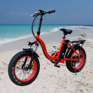 Hot sale 20 inch Foldable frame E bicycle 4.0'' Fat tire Ebike 500W 48V 12Ah Lithium Battery step through Electric Bicycle