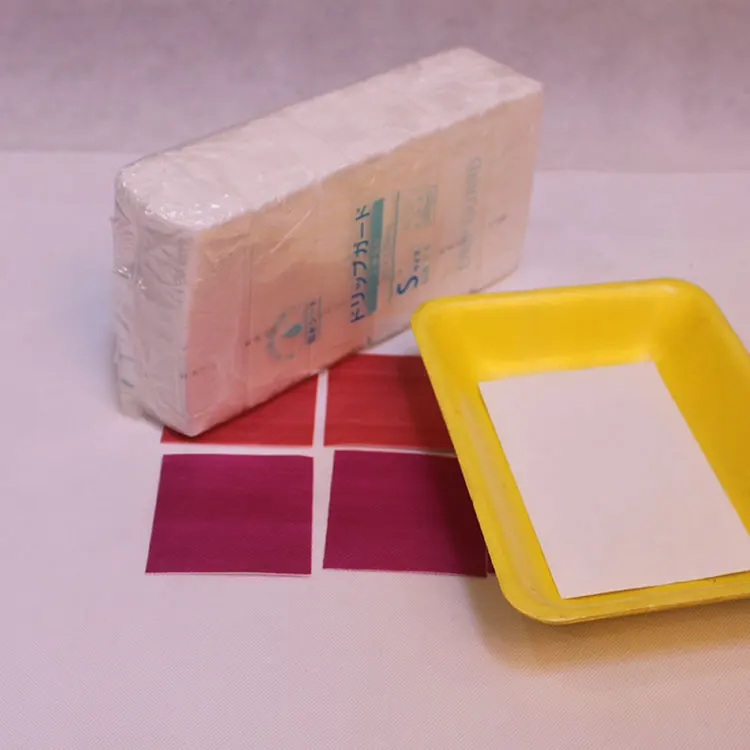 Eco-Friendly Material Biodegradable Water Absorbent Food Pad