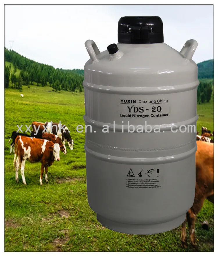 Yds20 Small Liquid Nitrogen Dewar Container Cryobank Buy Yds20