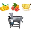 passion fruit processing machine