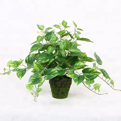 

High quality real touch artificial greenery 13 heads philo bush for bonsai decoration