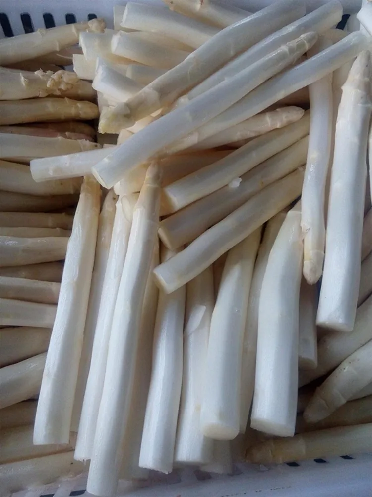 asparagus 01