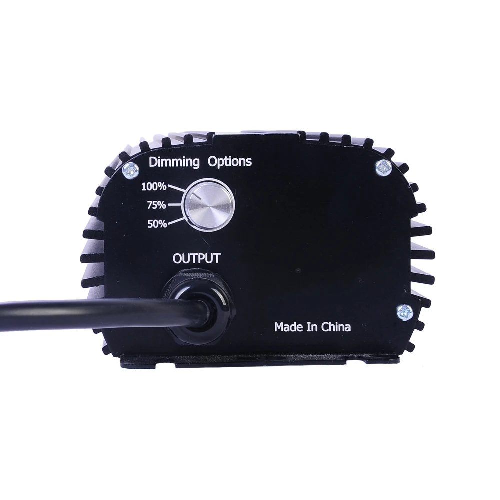 600W Cheap e-ballast 2.jpg
