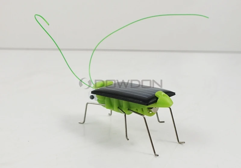 sloar grasshopper 8015 131216 (22).JPG
