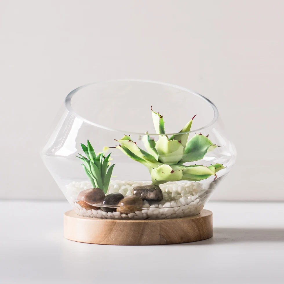 Huasen Unique Clear Bevel Slanted Vases Hand Blown Glass Terrarium