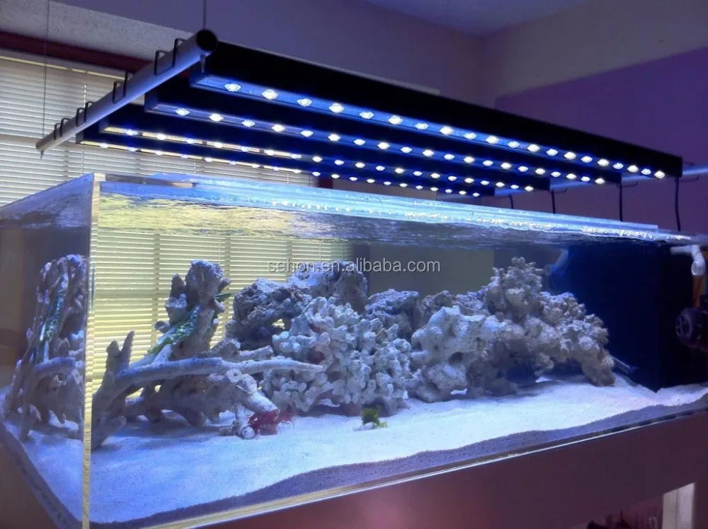 Havoc Fitness Latijns 60cm Aquarium Fish Tank Rgb Color Led Strip Light For Coral Reef - Buy 60cm  Led Aquarium Light,Led Strip Light Fish Tank Light,Led Aquarium Cora Reef  Light Product on Alibaba.com
