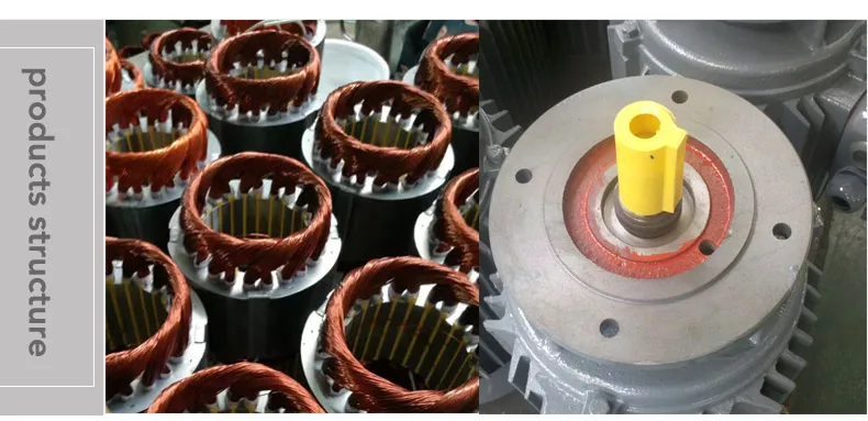 three phase electric motor