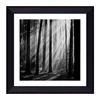 Wholesale 30"x30" Bulk Picture Frames for Home Decor