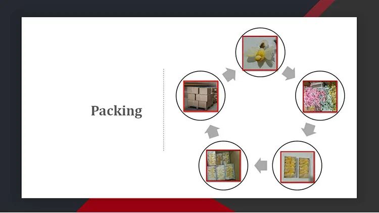 Packing2