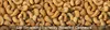 Salted Cashew Nuts