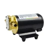 CANFLO 12V 12L/MIN Oil Transfer Gear Fuel Pump
