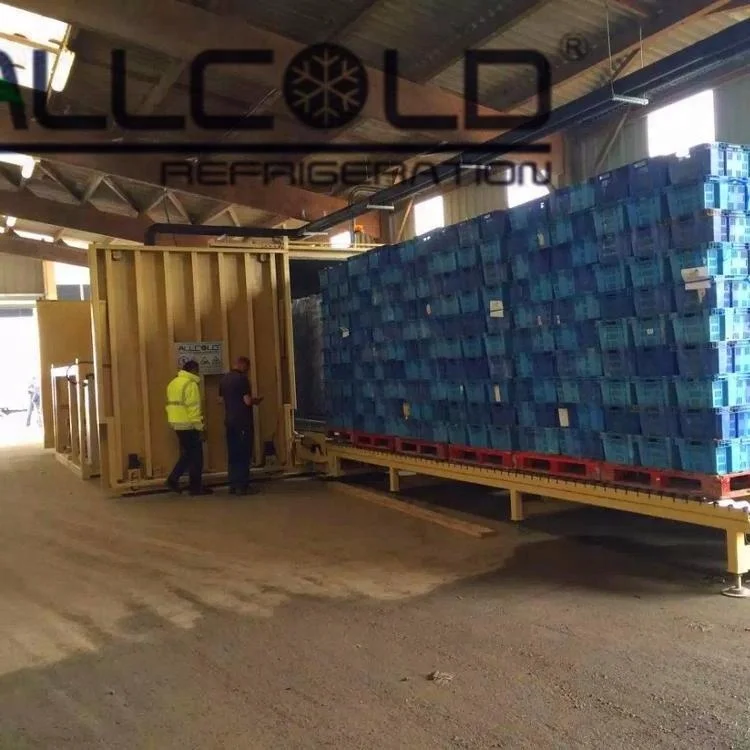 
Single Pallet Vegetables Vacuum Cooling Machine for Lettuce/Herbs/Broccoli Farms 