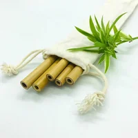 

Factory Directly Sales Durable Reusable Bamboo Straw Natural Bamboo Straw Alternative to Plastic Straws