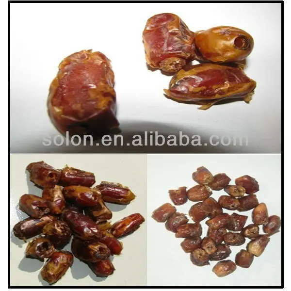 palm dates seeds removing machine