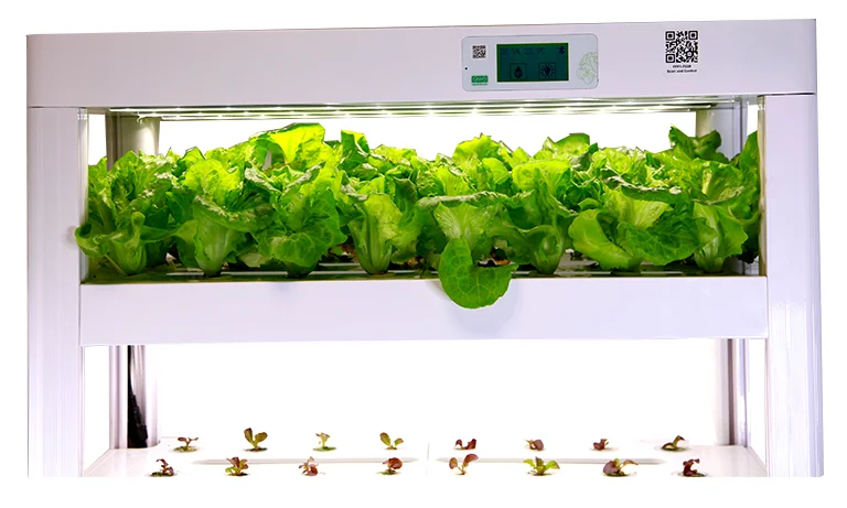 Herb Growing Fridge With Led Grow Lights - Buy Grow System,herb Grow 