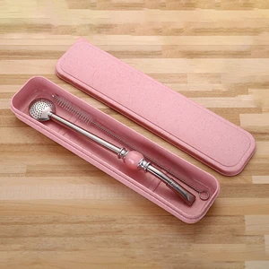 Image of stainless steel drink straw spoon set with tea filter