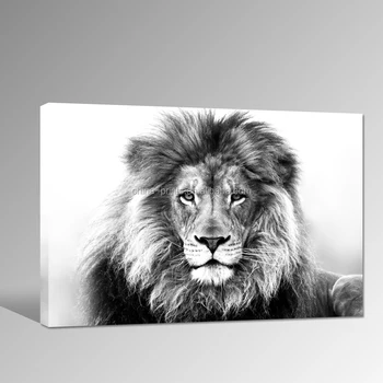 Black And White Animal Canvas Print Lion Picture Digital Print