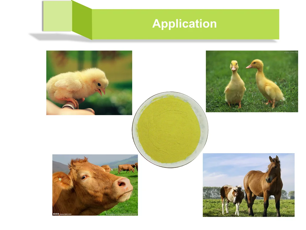 Doxycycline HCL_02.png