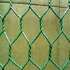 Chicken Coop hexagonal wire netting/