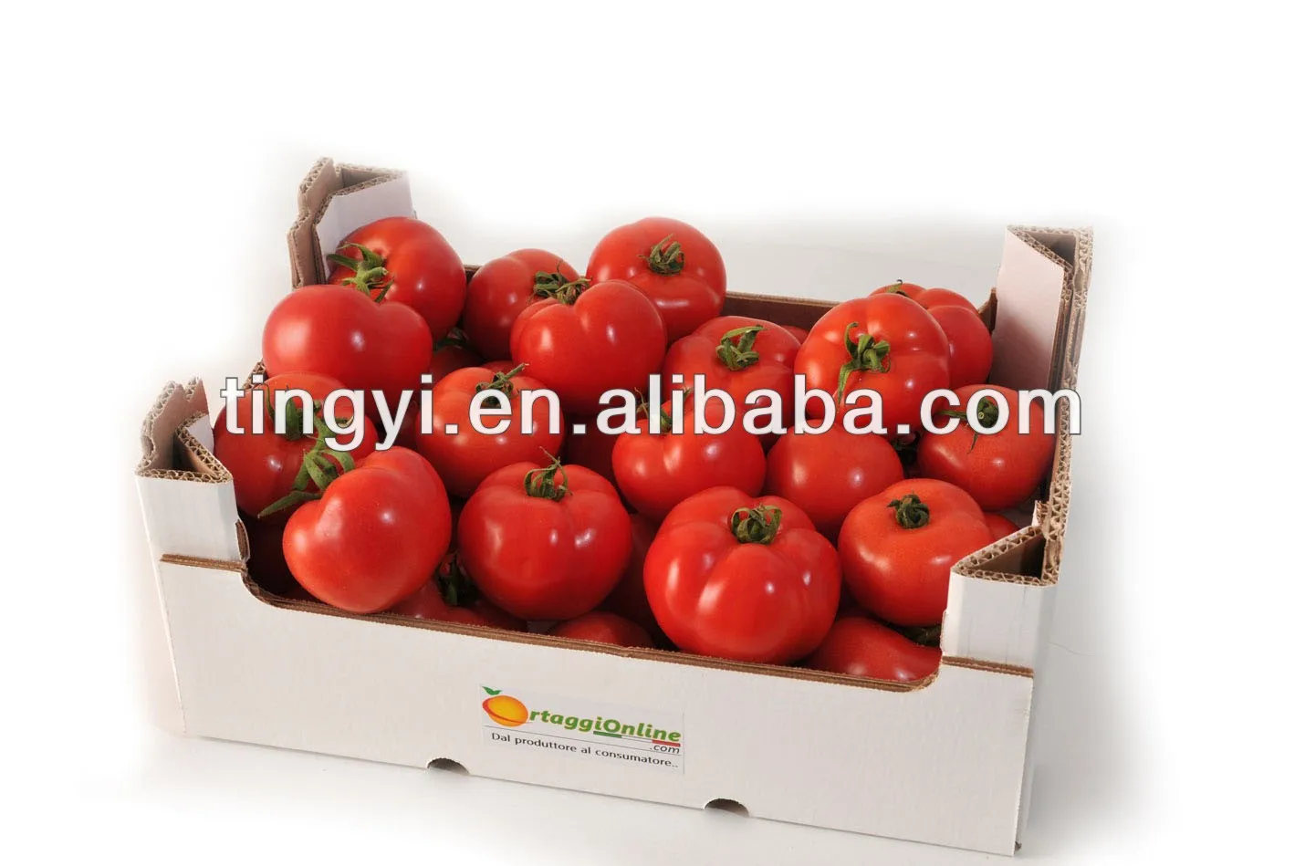 tomato-big-box (1).jpg