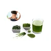 Organic spirulina algae high protein bulk spirulina powder